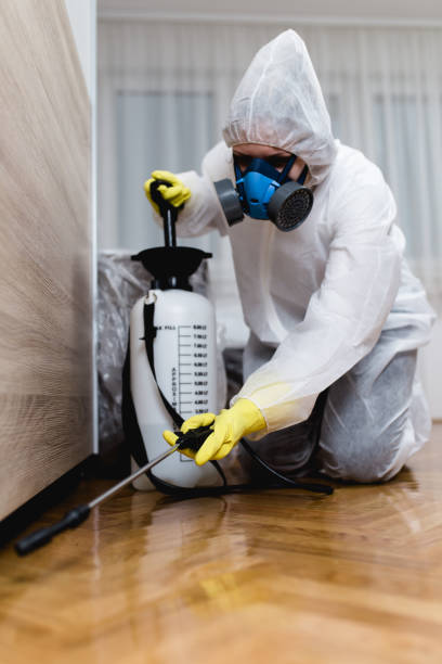 Best Indoor Pest Control  in Fort Drum, NY